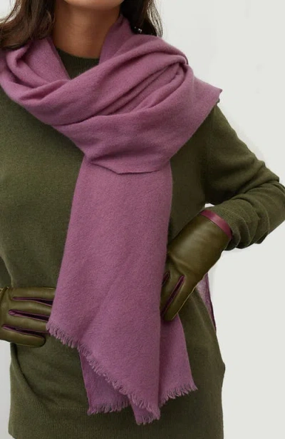 Portolano Cashmere Pashmina Wrap With Fringes In Purple