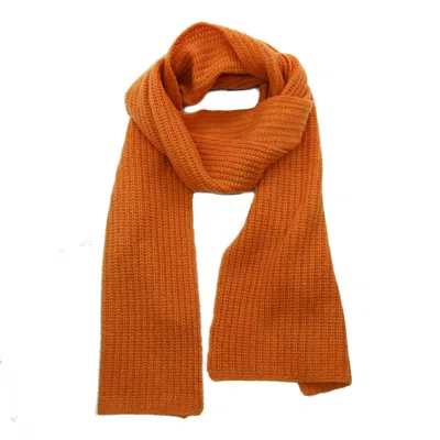 Portolano Cashmere Stitched Scarf In Orange