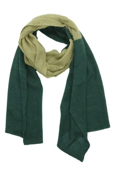 Portolano Colorblock Lambswool & Angora Blend Knit Scarf In Verde Mel/ Musta