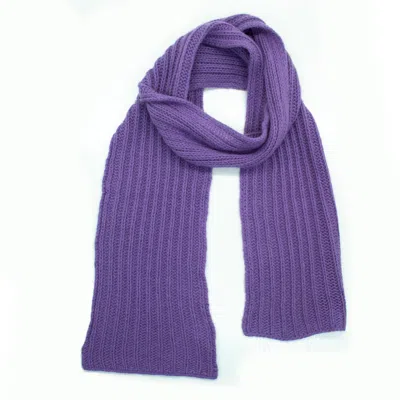 Portolano Fancy Stitch Scarf In Purple