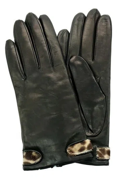 Portolano Genuine Calf Hair Trim Leather Gloves In Black
