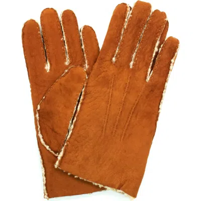 Portolano Genuine Shearling Leather Gloves In Brown