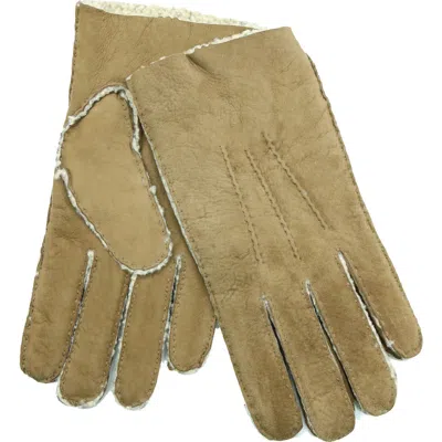 Portolano Genuine Shearling Leather Gloves In Green