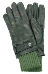 Portolano Knit Cuff Leather Gloves In Black/fern