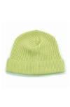 Portolano Merino Wool Rib Cuff Beanie In Green