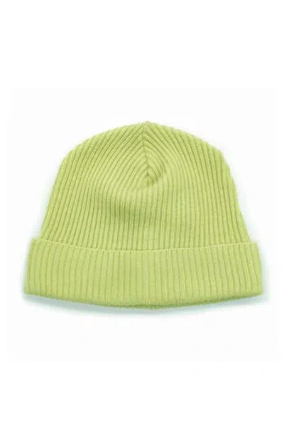 Portolano Merino Wool Rib Cuff Beanie In Green