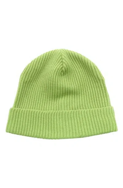 Portolano Merino Wool Rib Cuff Beanie In Green