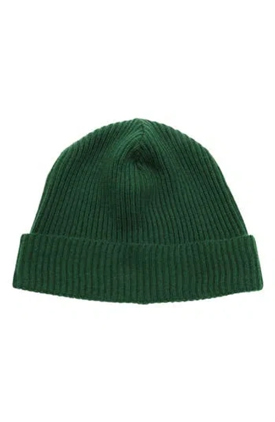 Portolano Merino Wool Rib Cuff Beanie In Green