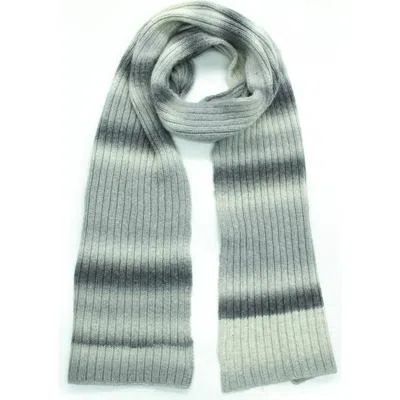 Portolano Ombré Stripe Merino Wool Blend Scarf In Multi