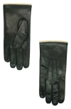 Portolano Perforated Leather Gloves In Black/asinello