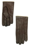 Portolano Perforated Leather Gloves In Mahogany/asinel
