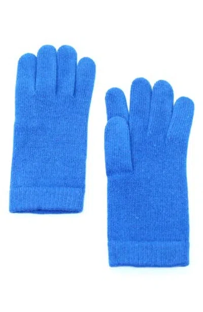 Portolano Solid Cashmere Gloves In Blue