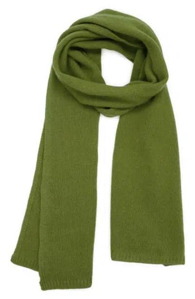 Portolano Solid Cashmere Scarf In Green
