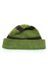 Portolano Stripe Cuff Beanie In Fern/dark Brown