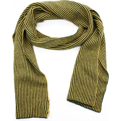 Portolano Stripe Knit Scarf In Green