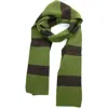Portolano Stripe Scarf In Green