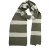 Portolano Stripe Scarf In Green