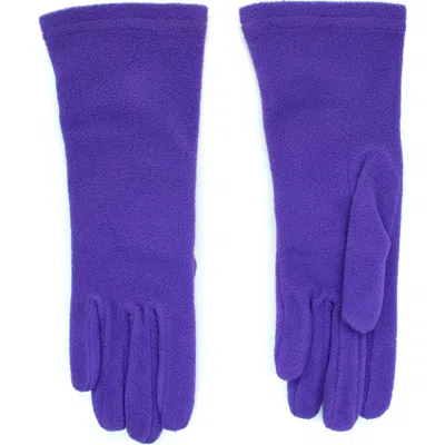 Portolano Tecnho Fleece Gloves In Blue