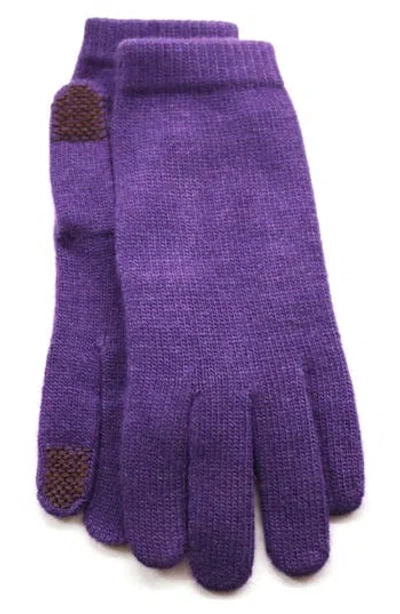 Portolano Wool Blend Gloves In Blue