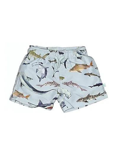 Pre-owned Posh Peanut Babies' Board Shorts In Blue