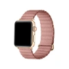 Posh Tech Riley Magnetic Leather Band For Apple Watch In Multi
