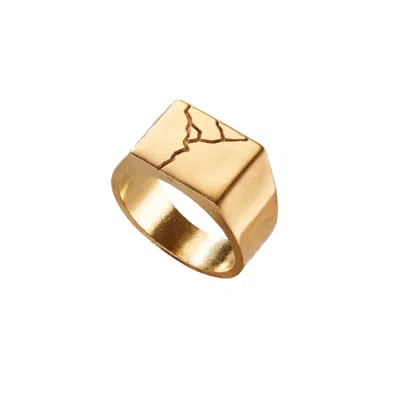 Posh Totty Designs Men's Yellow Gold Plated Unisex Chunky Kintsugi Signet Ring