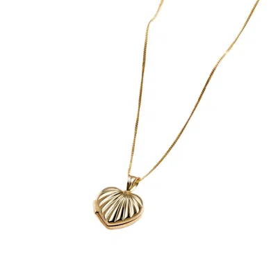 Posh Totty Designs Women's 9ct Gold Petite Shell Heart Locket