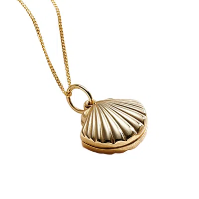 Posh Totty Designs Women's 9ct Gold Petite Shell Locket Necklace