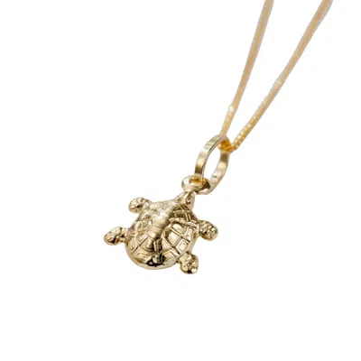 Posh Totty Designs Women's 9ct Yellow Gold Turtle Pendant Necklace