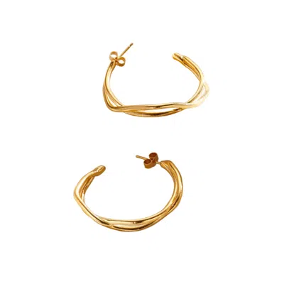Posh Totty Designs Women's Gold Delta Open Hoop Earrings