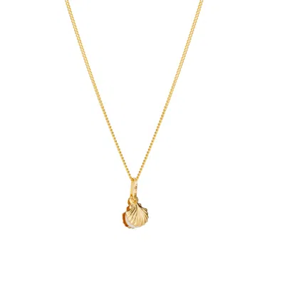 Posh Totty Designs 9ct Gold Pearl And Shell Charm Necklace