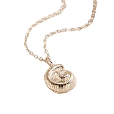 Posh Totty Designs Women's Sterling Silver Mini Nautilus Shell Necklace In Purple