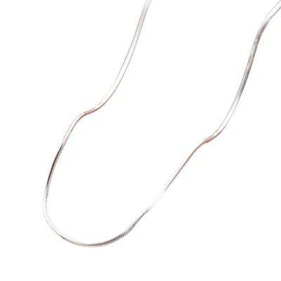 Posh Totty Designs Women's Sterling Silver Snake Chain Necklace In Metallic