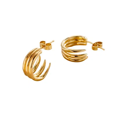 Posh Totty Designs Women's Talon Open Hoop Gold Earrings