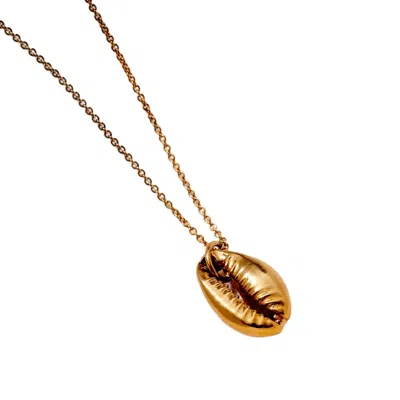 Posh Totty Designs Women's Yellow Gold Cowrie Shell Necklace