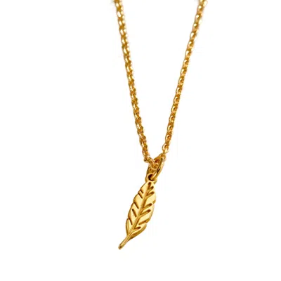 Posh Totty Designs Women's Yellow Gold Dinky Feather Charm Necklace