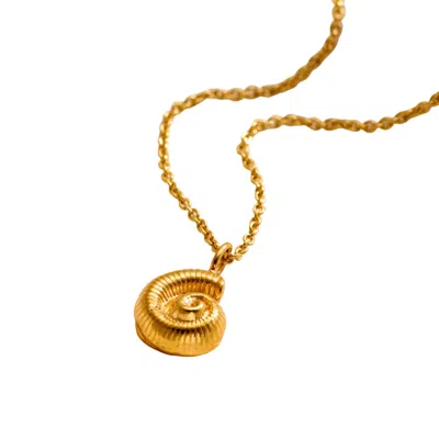 Posh Totty Designs Women's Yellow Gold Mini Nautilus Shell Necklace