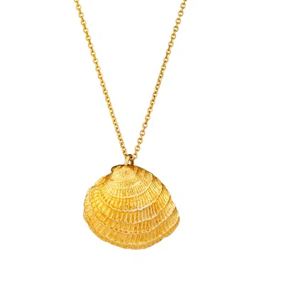 Posh Totty Designs Women's Yellow Gold Plated Clam Necklace