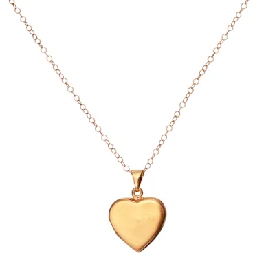 Posh Totty Designs Women's Yellow Gold Plated Heart Locket Necklace