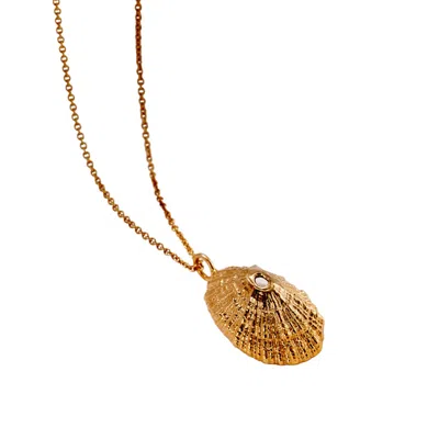 Posh Totty Designs Women's Yellow Gold Plated Limpet Shell Necklace