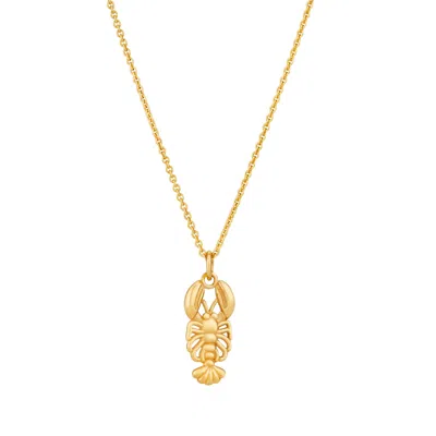 Posh Totty Designs 18ct Yellow Gold Plated Lobster Charm Necklace
