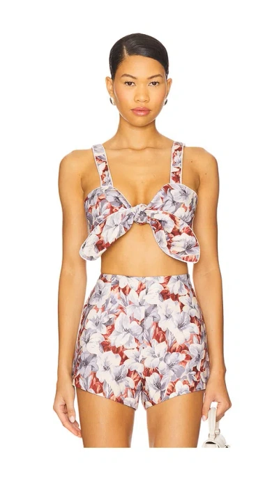 Posse Luna Bandeau Top In Multi