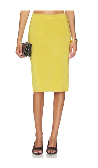 Posse Rae Skirt In Brown