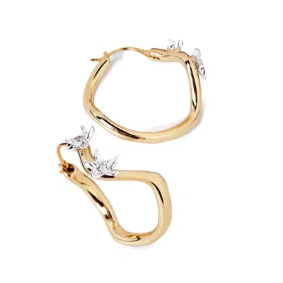 Potoska Women's Calino Flower Earrings In Gold Two Tone