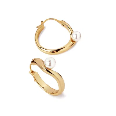 Potoska Women's Twerti Pearl Hoops In Gold In Brown