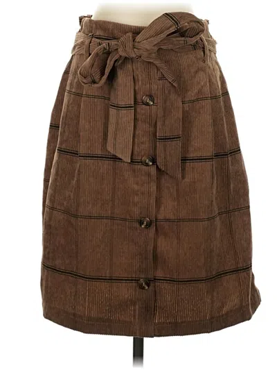 Pre-owned Potter's Pot Casual Skirt In Brown