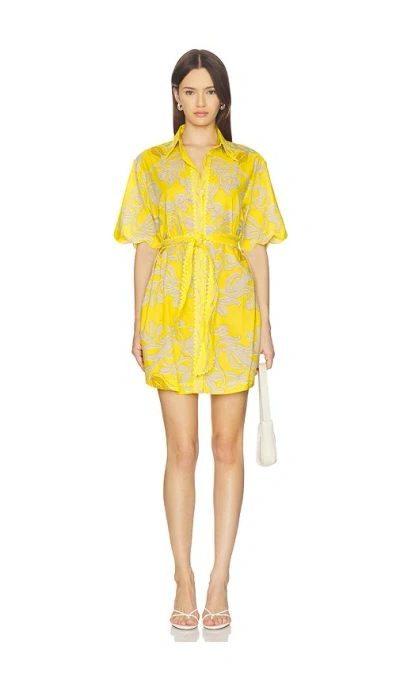 Poupette St Barth Wes Mini Dress In Yellow