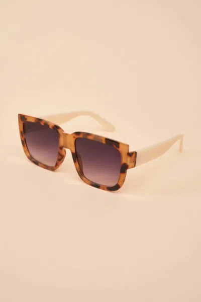 Powder Design Inc Women's Luxe Ellery Sunglasses In Tortoise/coconut