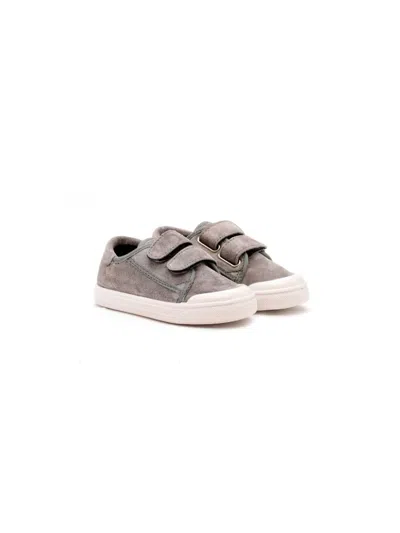 Pèpè Babies' Dino Sneakers In Grey