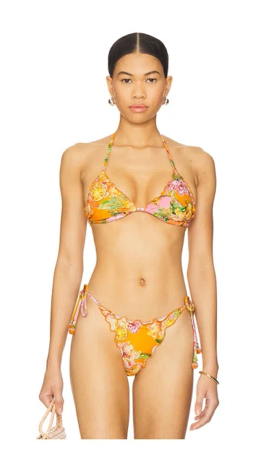 Pq Embroidered Lettuce Edge Triangle Bikini Top